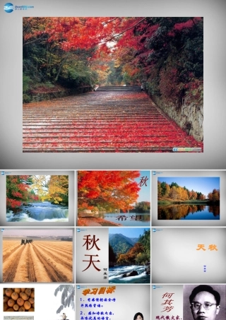 中学七年级语文上册 14 秋天课件 (新版)新人教版 课件