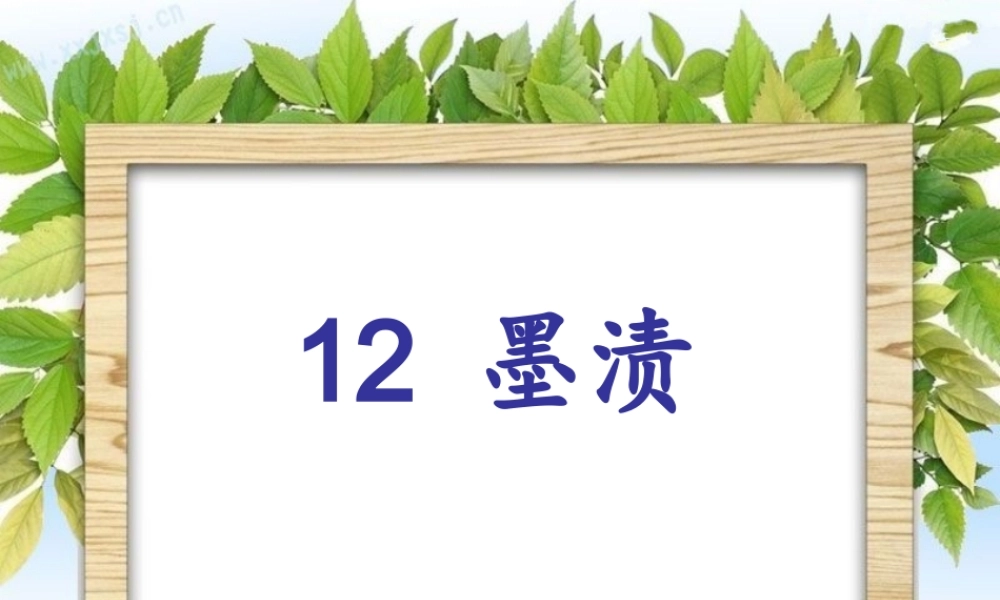 《墨渍》课件1