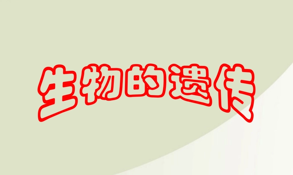 八年级生物下册 遗传与变异复习课件 人教新课标版 课件