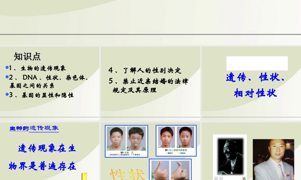 八年级生物下册 遗传与变异复习课件 人教新课标版 课件