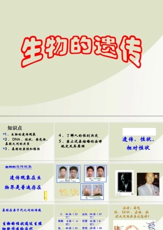 八年级生物下册 遗传与变异复习课件 人教新课标版 课件