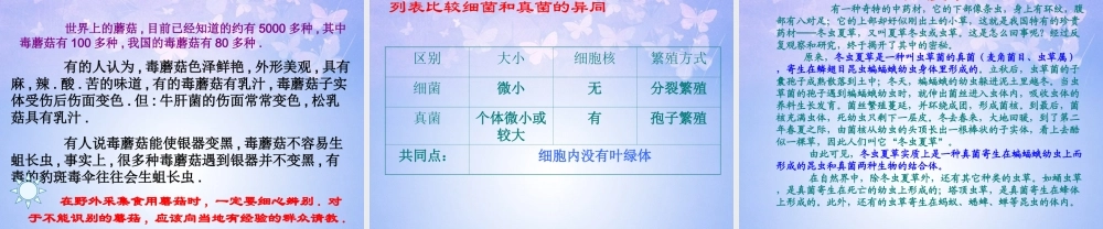 八年级生物上册 第三节 真菌课件 新人教版 课件