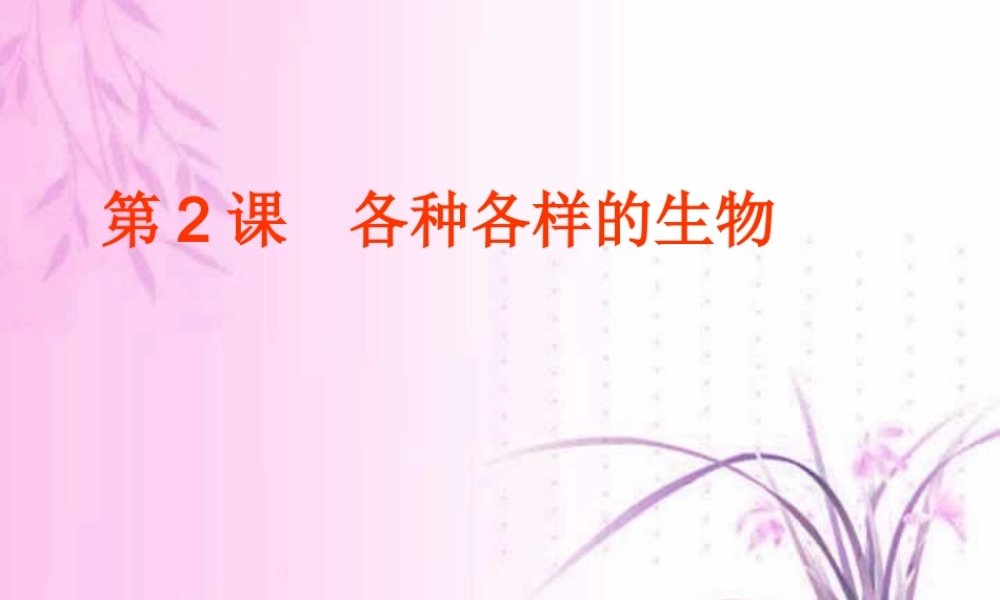 初三总复习第2课 各种各样的生物 浙教版 试题