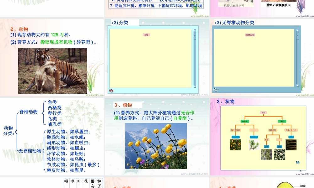 初三总复习第2课 各种各样的生物 浙教版 试题