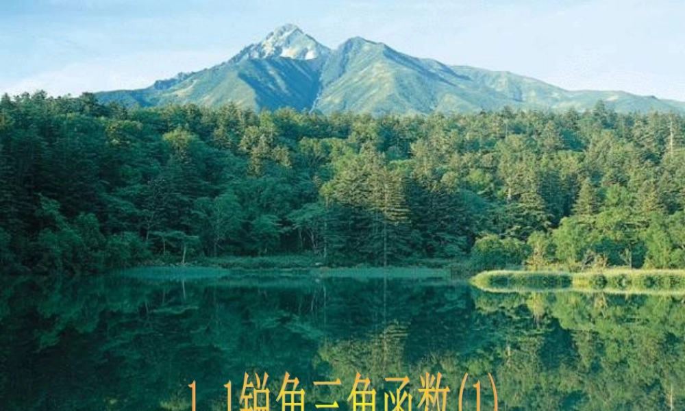 九年级数学锐角三角函数ppt1 课件