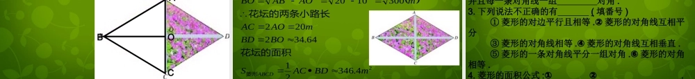 八年级数学下册 19.2.2 菱形课件1 新人教版 课件