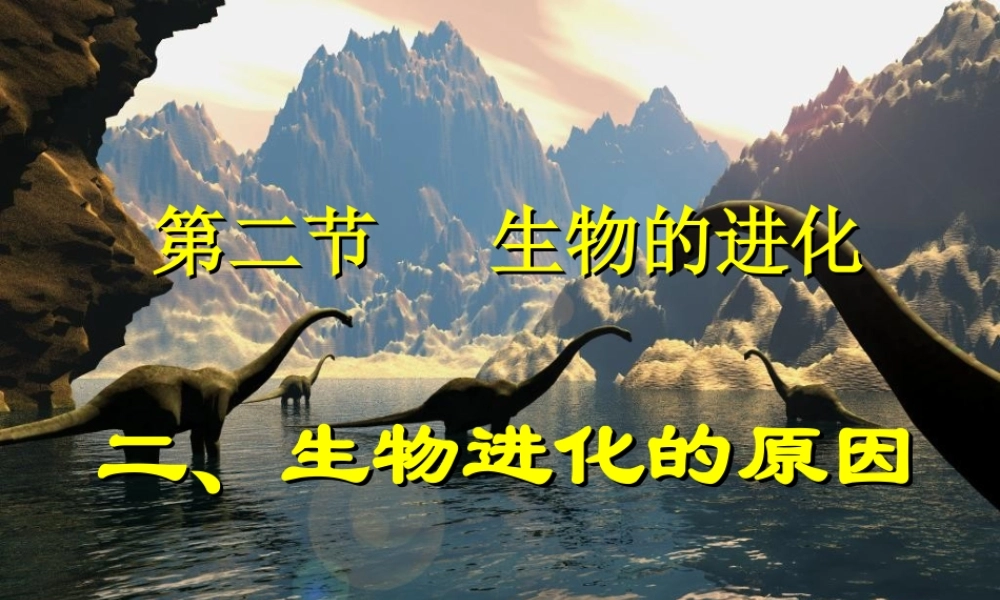八年级生物 生物进化课件 新课标 人教版 课件