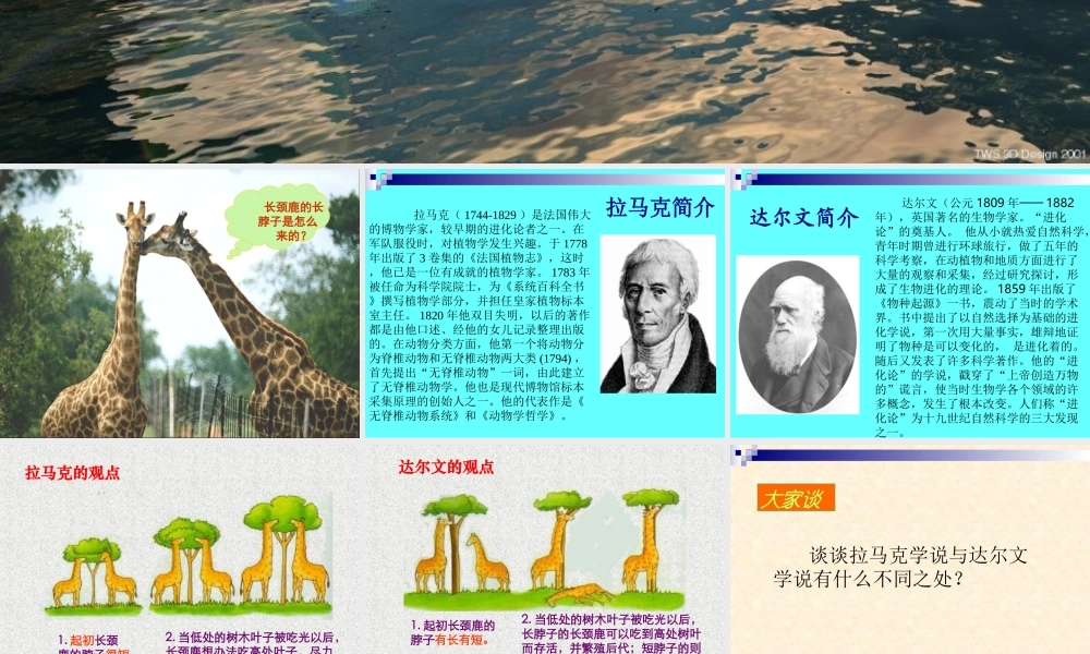 八年级生物 生物进化课件 新课标 人教版 课件