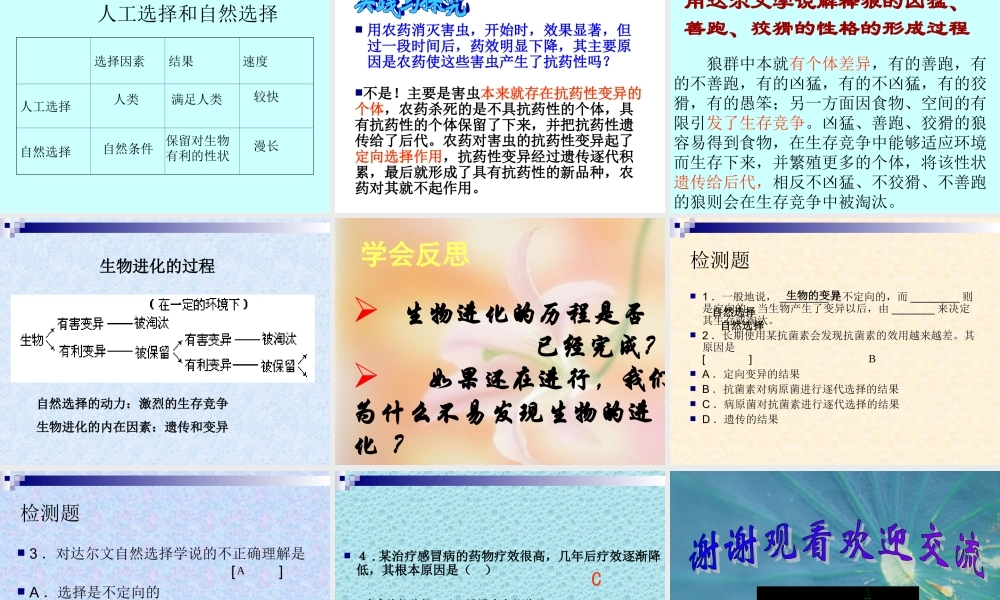 八年级生物 生物进化课件 新课标 人教版 课件