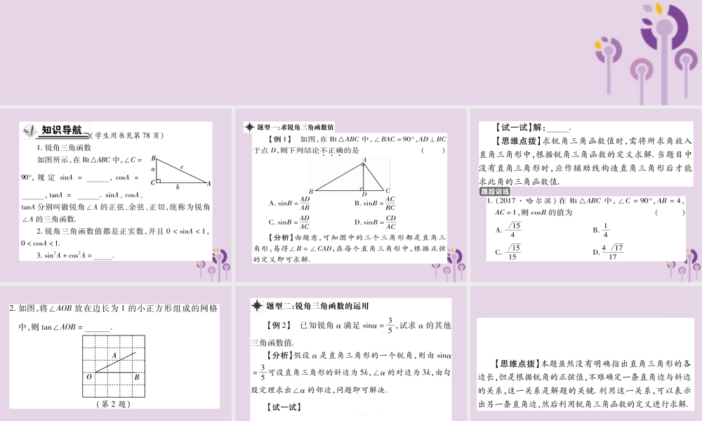 九年级数学上册 第24章 解直角三角形 243 锐角三角函数 2431 锐角三角函数 第1课时 锐角三角函数习题课件 (新版)华东师大版 课件