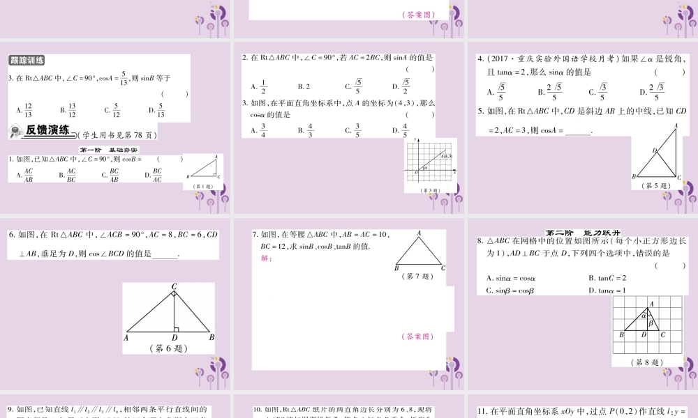 九年级数学上册 第24章 解直角三角形 243 锐角三角函数 2431 锐角三角函数 第1课时 锐角三角函数习题课件 (新版)华东师大版 课件