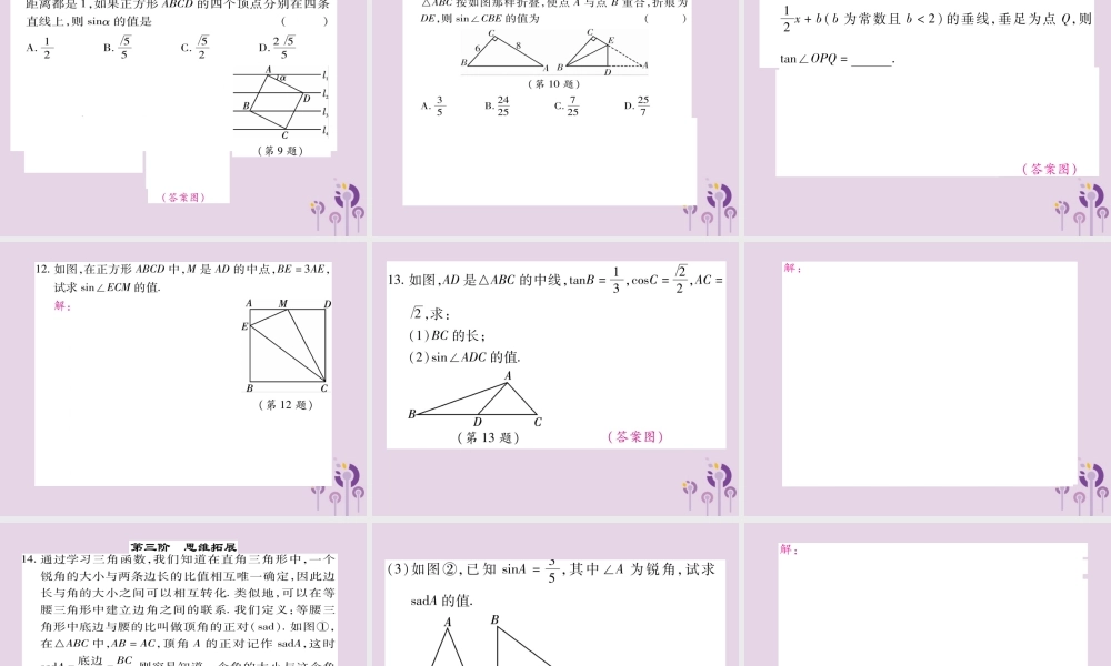 九年级数学上册 第24章 解直角三角形 243 锐角三角函数 2431 锐角三角函数 第1课时 锐角三角函数习题课件 (新版)华东师大版 课件