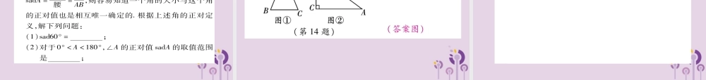 九年级数学上册 第24章 解直角三角形 243 锐角三角函数 2431 锐角三角函数 第1课时 锐角三角函数习题课件 (新版)华东师大版 课件
