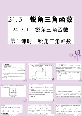 九年级数学上册 第24章 解直角三角形 243 锐角三角函数 2431 锐角三角函数 第1课时 锐角三角函数习题课件 (新版)华东师大版 课件
