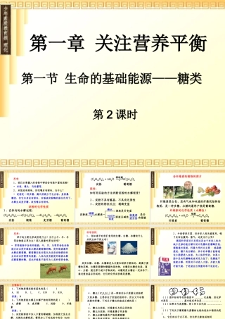 生命的基础能源——糖类-第2课时