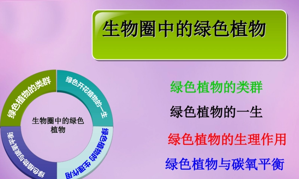 七年级生物上册 3.1.2 种子植物课件 (新版)新人教版 课件