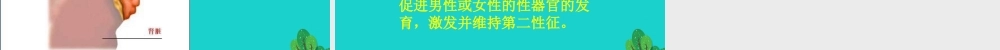 七年级生物下册 第四单元 第一章 第二节 人的生殖 人体主要内分泌腺及分泌的激素的作用课件 (新版)新人教版 课件