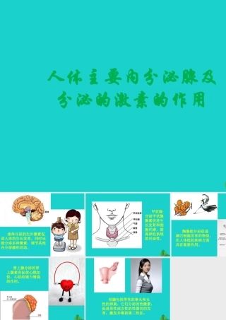七年级生物下册 第四单元 第一章 第二节 人的生殖 人体主要内分泌腺及分泌的激素的作用课件 (新版)新人教版 课件
