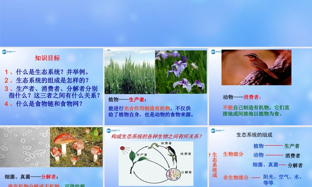 七年级生物上册 第二章 第二节 生物与环境组成生态系统课件 新人教版 课件