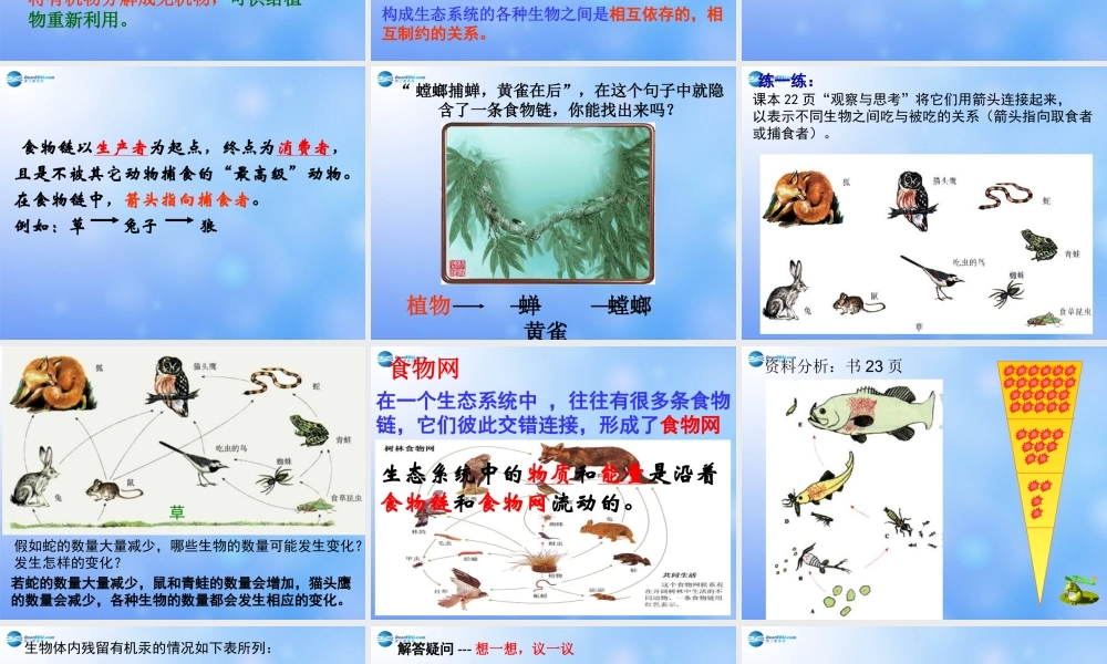 七年级生物上册 第二章 第二节 生物与环境组成生态系统课件 新人教版 课件