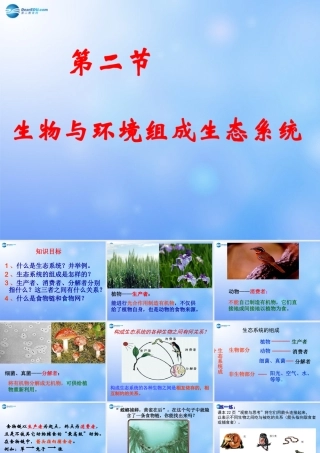 七年级生物上册 第二章 第二节 生物与环境组成生态系统课件 新人教版 课件