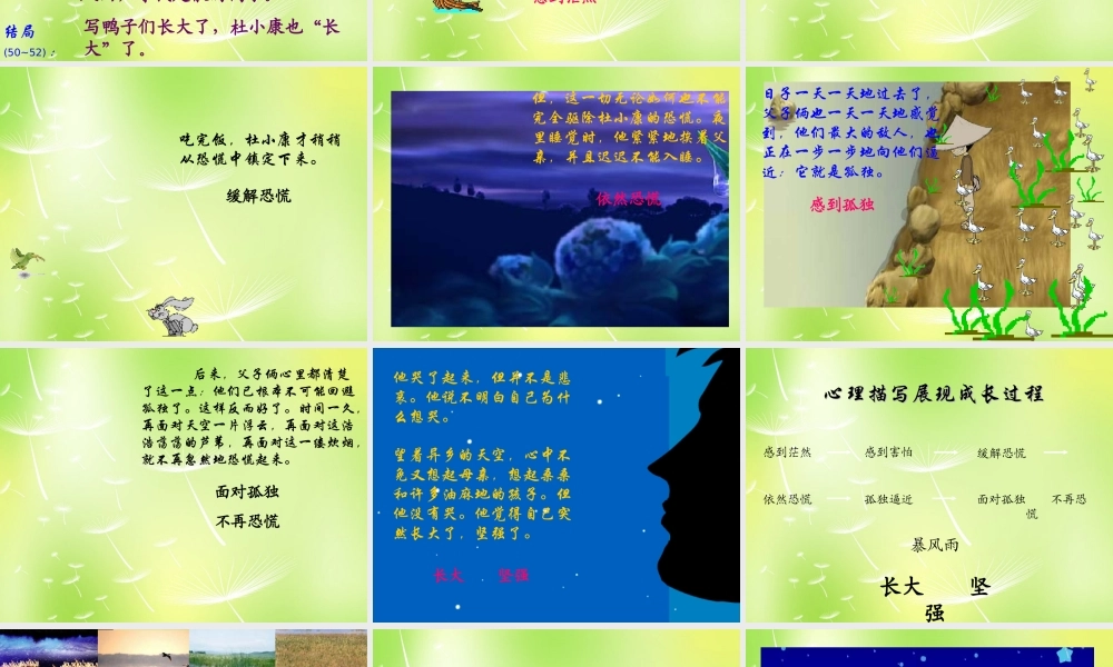 中学九年级语文上册 第10课(孤独之旅)课件 新人教版 课件