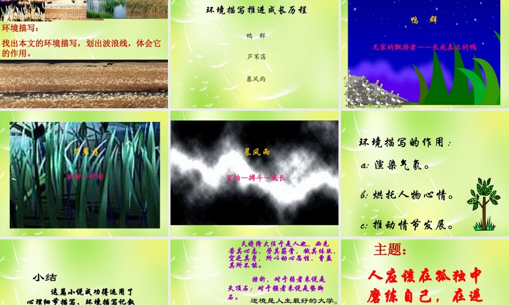 中学九年级语文上册 第10课(孤独之旅)课件 新人教版 课件