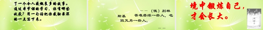 中学九年级语文上册 第10课(孤独之旅)课件 新人教版 课件
