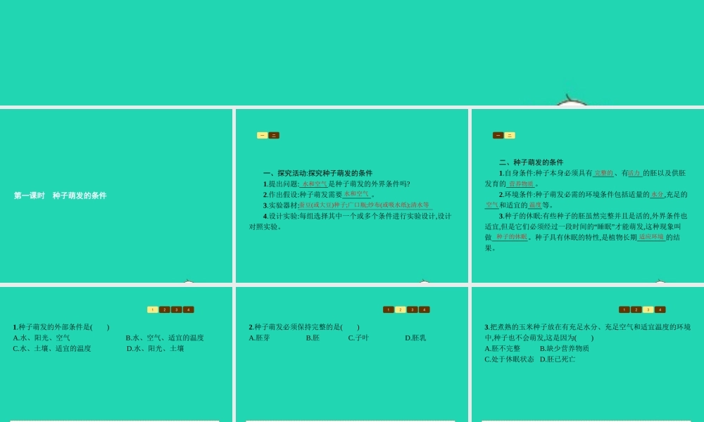 八年级生物上册 第四单元 第一章 第四节 种子的萌发(第1课时 种子萌发的条件)课件 (新版)济南版 课件