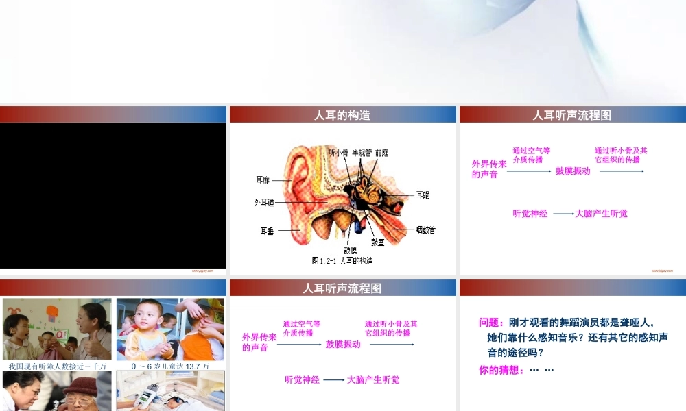 录像课课件我们怎样听到声音