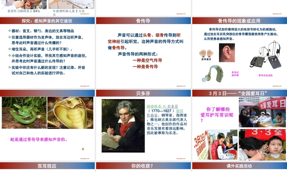 录像课课件我们怎样听到声音