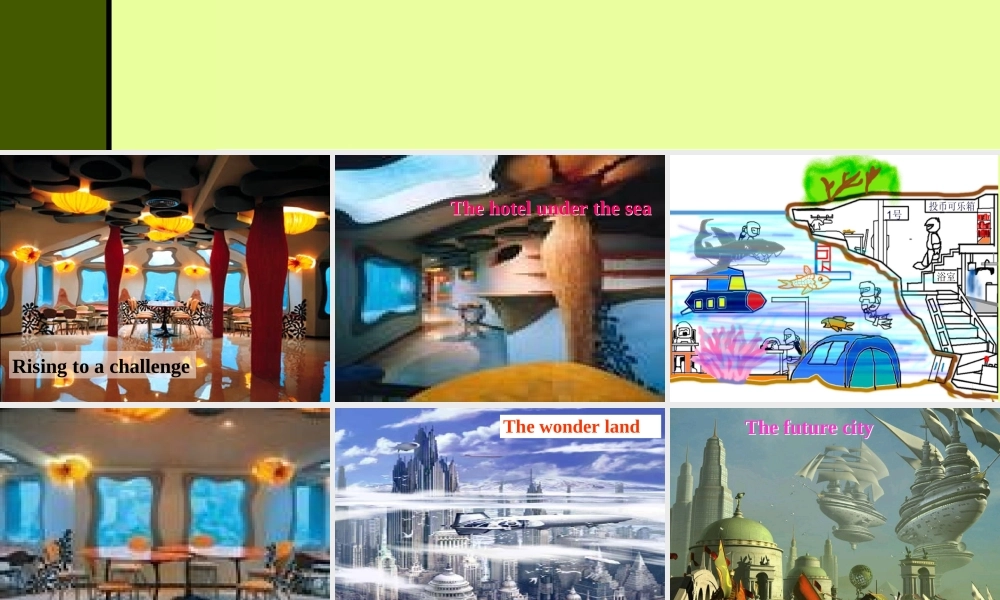 新人教版英语必修5 unit3 reading task in WB 课件 上学期 课件