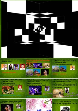 九年级英语上册 Module 11 Unit 2 The photo which we liked best was taken by Zhao Min课件 (新版)外研版 课件