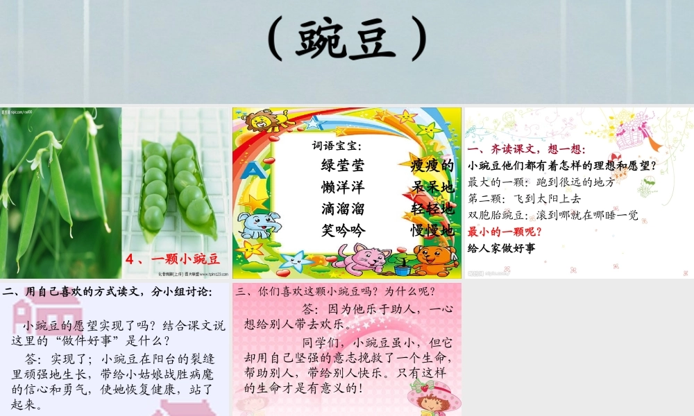 四年级上册《一颗小豌豆》课件