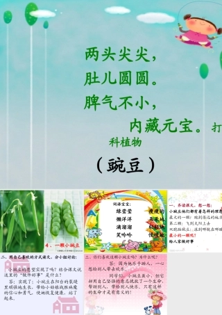 四年级上册《一颗小豌豆》课件
