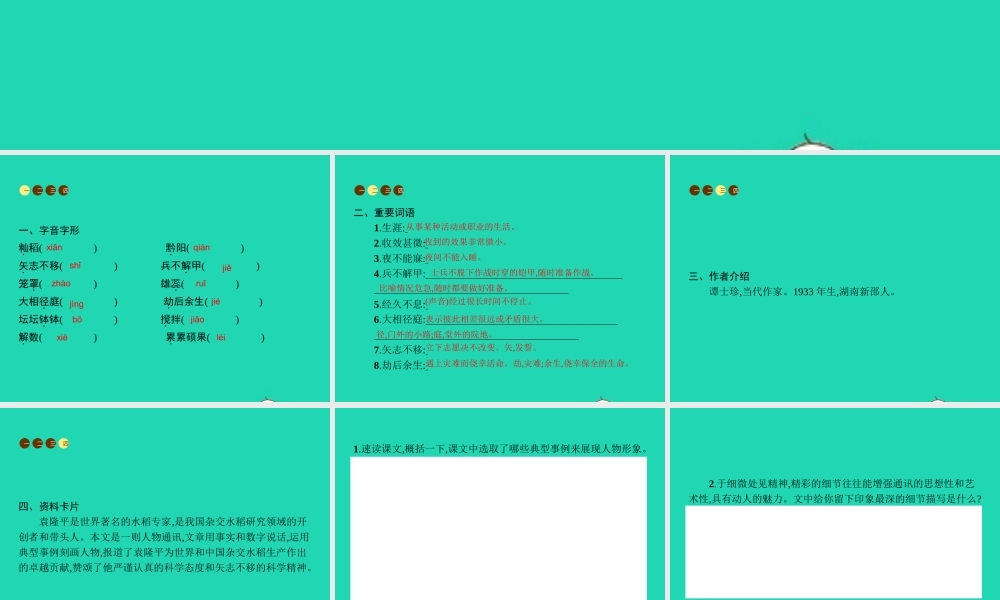 八年级语文上册 第二单元 8 杂交水稻之父 袁隆平课件 语文版 课件