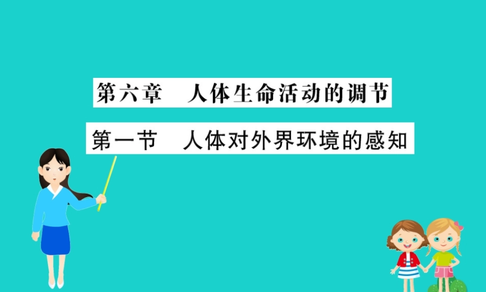 七年级生物下册 4.6.1 人体对外界环境的感知习题课件(新版)新人教版 课件