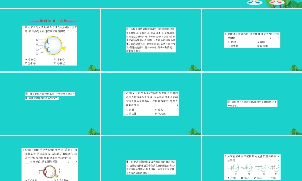 七年级生物下册 4.6.1 人体对外界环境的感知习题课件(新版)新人教版 课件