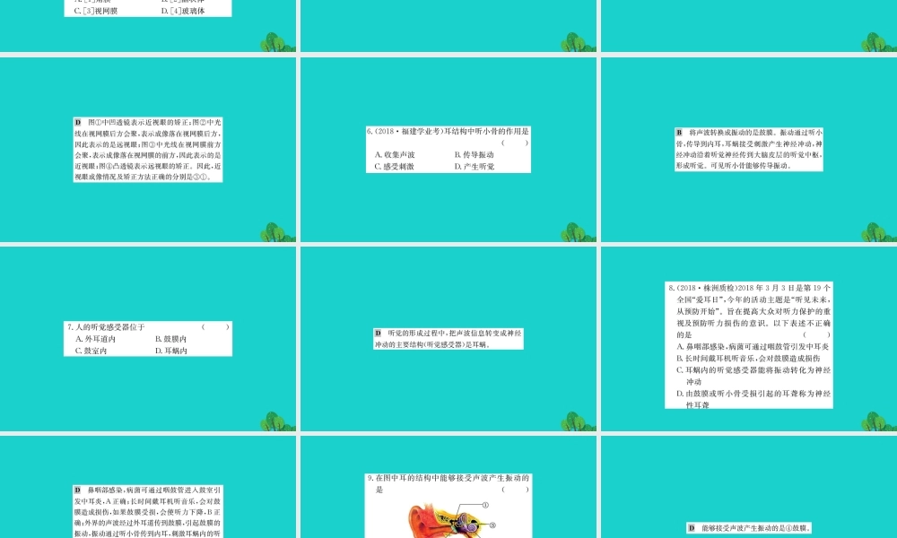 七年级生物下册 4.6.1 人体对外界环境的感知习题课件(新版)新人教版 课件