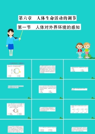 七年级生物下册 4.6.1 人体对外界环境的感知习题课件(新版)新人教版 课件