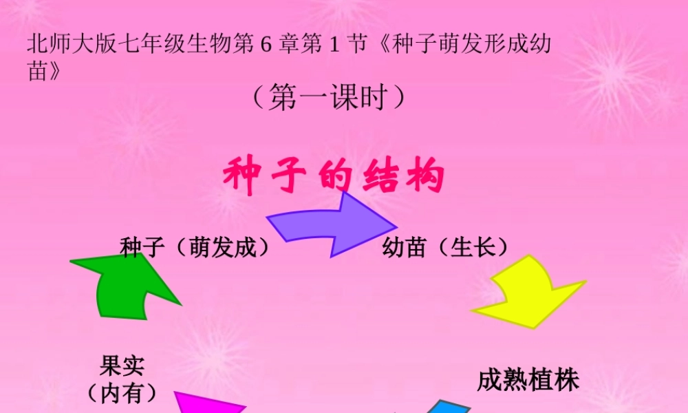 七年级生物 种子萌发形成幼苗课件 北师大版 课件
