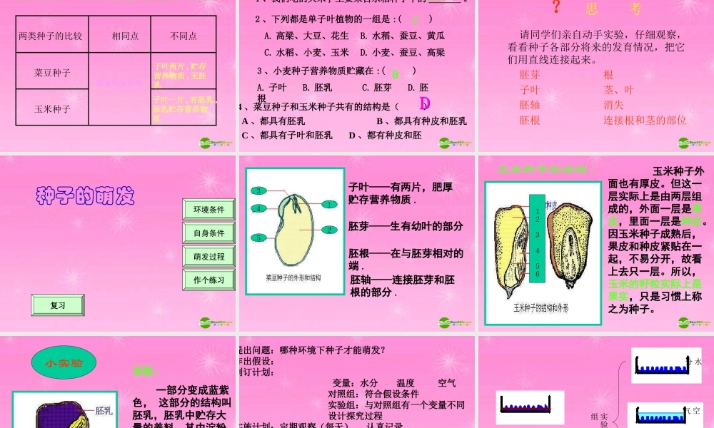 七年级生物 种子萌发形成幼苗课件 北师大版 课件
