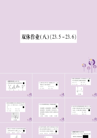 九年级数学上册 双休作业(8)作业课件 (新版)华东师大版 课件
