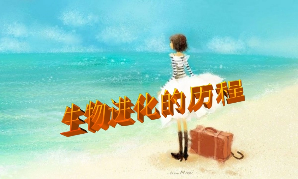 八年级生物下册 生物进化的历程课件 人教新课标版 课件