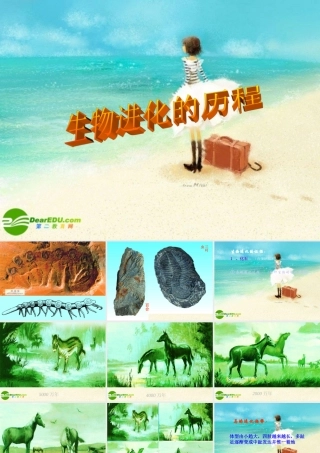 八年级生物下册 生物进化的历程课件 人教新课标版 课件