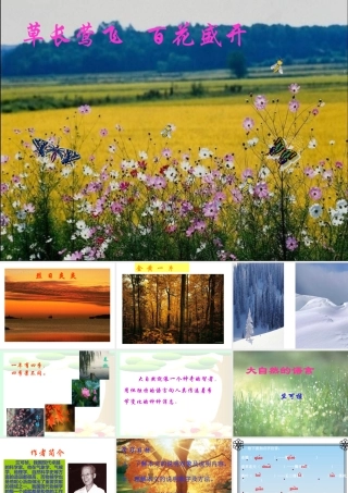 八年级语文大自然的语言课件 新课标 人教版 课件