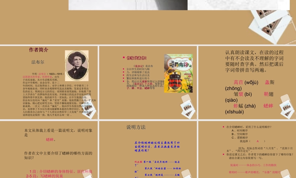 中学七年级语文下册 第16课(蟋蟀)课件 冀教版 课件