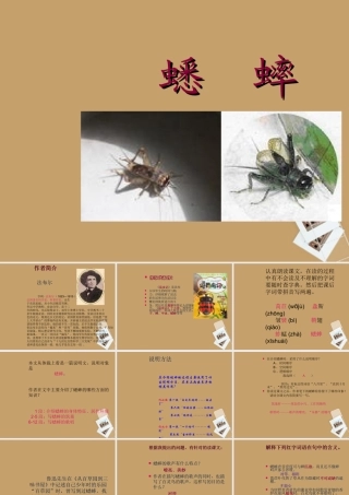 中学七年级语文下册 第16课(蟋蟀)课件 冀教版 课件