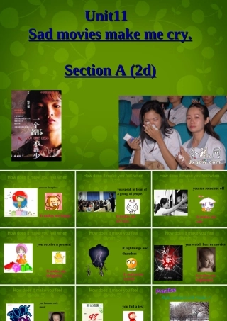 九年级英语全册 Unit 11 Sad movies make me cry Section A(2d)课件 (新版)人教新目标版 课件