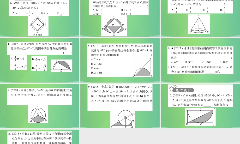 中考数学复习 第一轮 考点系统复习 第六章 圆 第三节 与圆有关的计算(精练)课件